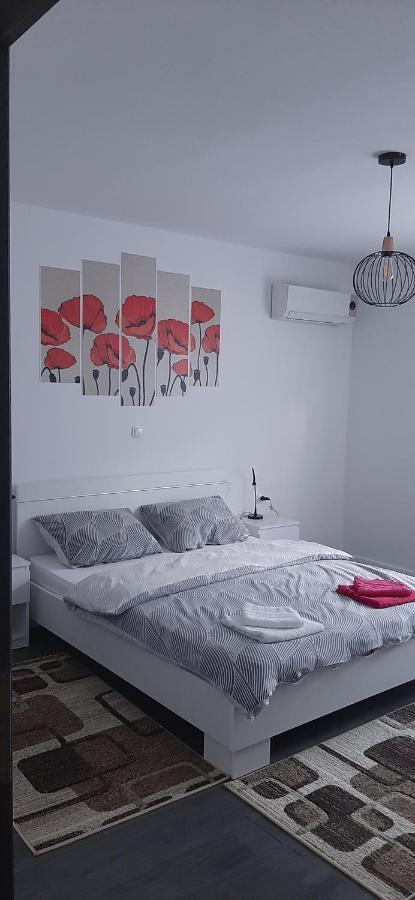 Apartman Melani スルニュ エクステリア 写真